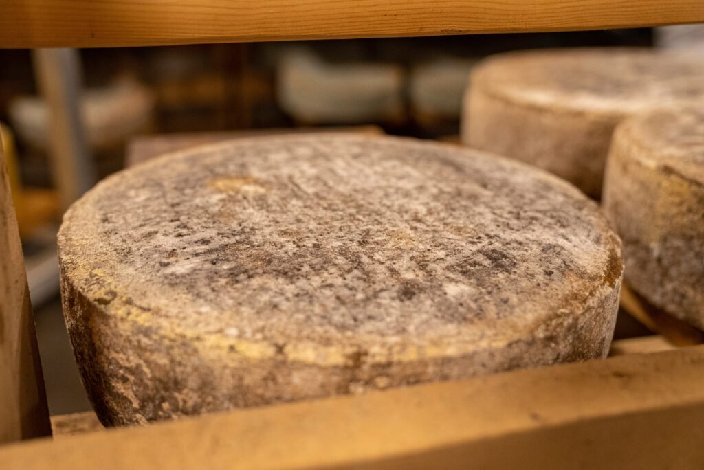 Aged Cheese